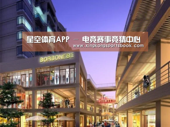 星空平台案例展示一