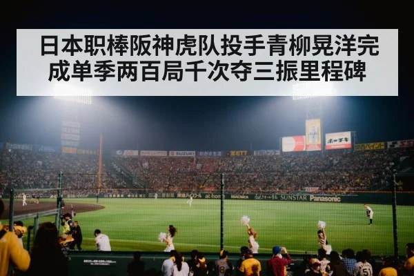 baseball stadium night